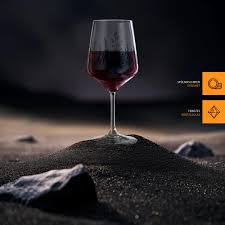 Nachtmann Set di 2 bicchieri da vino, 630 ml, Tattoo Botanical, 105723, con  design floreale, colore nero, vetro di cristallo, bicchieri aperitivi ...