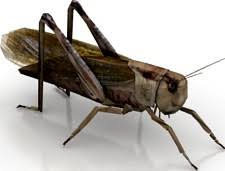 Luckily rhino3d grasshopper makes it easy to fix this kind of problem. Grasshopper 3d Model