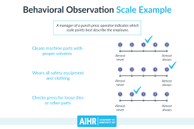Image result for Behavioral Activity Rating Scale