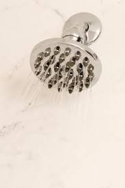 How To Replace The Ball Fixture On A Shower Head With Images Shower Cleaner Cleaners Homemade