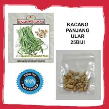Benih Kacang Panjang Ular 25 Biji Home Garden Shopee Malaysia