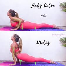 Baby Cobra Vs Updog I Received So Many Request To Show The Differences Between These Tw Yoga For Flexibility Energizing Yoga Poses Yoga For Beginners