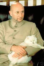 He looks down at his paper and continues, it would seem that i am the cause of all your misfortune. Blofeld S Cat A Persian