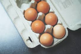 Harga telur ayam terbaru juli 2019 update. Telur Ayam Negeri Dan Fakta Menarik Di Dalamnya
