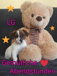 Ich hoffe, ihr könnt wenigstens etwas schlafen. Pin Von Erka Auf Abendgusse Tierbilder Gute Nacht Grusse Hunde