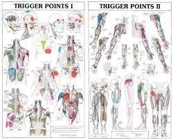 Trigger Points Chart Marmotte 2010 Triggerpoints