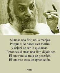 97 ideas de OSHO