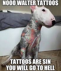 Noooo Walter Ideal Boyfriend Memes Funny