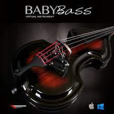 Ampeg Baby Bass Vst Plugin Plugins Bass Instruments