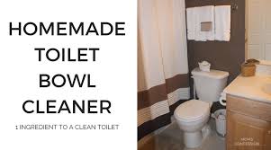 easy one ing homemade toilet cleaner