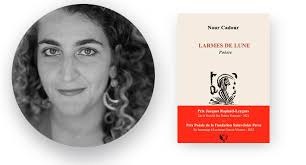 Les arpenteurs poétiques