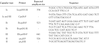 Folclor romanesc si muzica buna. Oligonucleotide Primers Used For Capsular Typing Download Table