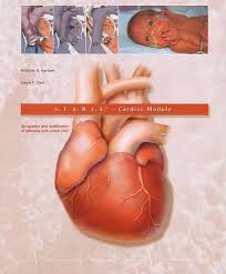 Librarika S T A B L E Program Blood Gas Interpretation Chart