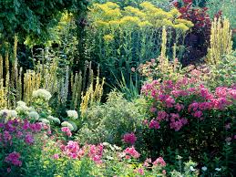 Download high quality flower pictures for your mobile, desktop or website. Gorgeous Flower Garden Ideas