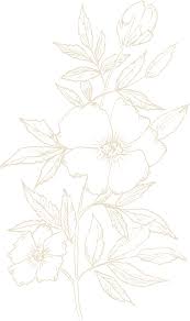 Kristen Graves and Blake Cripps' Wedding Website