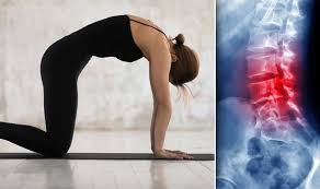 Cat cow sticker is great for yoga enthusiasts. Back Pain Exercise Best Workout For Lower Backache Symptoms Is The Cat Cow Stretch Express Co Uk