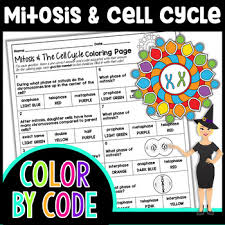 Mitosis And The Cell Cycle Color By Number Science Color By Number
