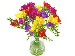 Mayflower mocha by r&r reproductions and avas soie d'alger and 100/3 (1 over 1 and 1 over 2). Scented Freesia Send Fresh Freesias Free Uk Delivery Freesia Flowers Fresh Flower Bouquets Flowers Delivered