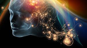 Teorías para la consciencia (I): Integrated Information Theory (IIT) |  Ignacio G.R. Gavilán