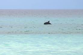 Pin On Places I Ve Been And To Go