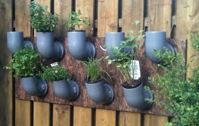 Toom Kreativwerkstatt Hangender Krautergarten Hangender Garten Pflanzen Garten