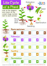 We did not find results for: Primary And Secondary Colors Worksheet Free Printout For Children