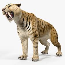 Check spelling or type a new query. Tigre Diente De Sable Aparejado Para Maya Modelo 3d Modelo 3d 169 Ma Free3d