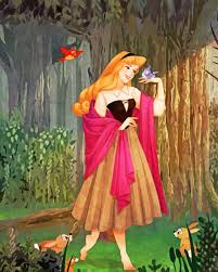 There are 12 official disney princesses: Disney Princess Aurora Animations Paint By Number Numpaint Paint By Numbers