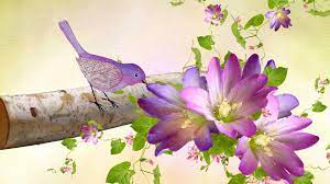 Exotic birds colorful birds yellow birds love birds beautiful birds small birds animals images cute animals parus major. Birds And Flowers Desktop Wallpapers Top Free Birds And Flowers Desktop Backgrounds Wallpaperaccess