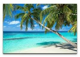 Leinwandbilder strand und über 5000 weitere motive. Leinwandbild Palmen Am Strand Ebay