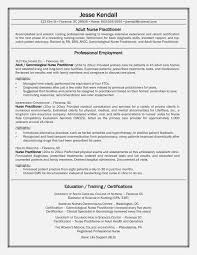New Grad Nursing Resume Clinical Experience New 14 Easy Ways To Facilitate Nursing Resume Template Nursing Resume New Grad Nursing Resume