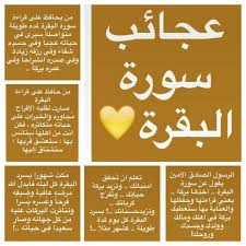 desertrose ويبقى ذكر الل ه هو الأجمل لا إ ل ه إ ل ا الل ه م ح م د ر س ول الل ه ال له م ص ل islam facts islam beliefs islamic quotes quran