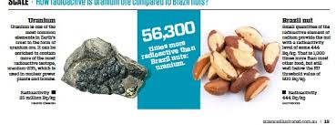 Refined uranium is ok to handle, but you don't want to lick your hands afterwards. Scale How Radioactive Is Uranium Ore Compared To Brazil Nuts Pressreader