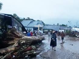 Kepala pusat data, informasi dan komunikasi kebencanaan bnpb raditya jati mengungkapkan, bencana yang terjadi di ntt. Hohaq822grqljm