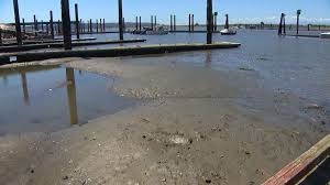 Puget Sounds Lowest Tides Of The Year Are Causing Headaches