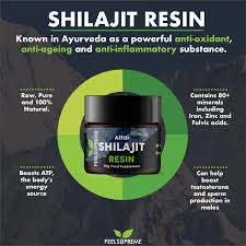 Image result for Shilajit
