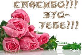 ,   -    otkritkiok.ru
