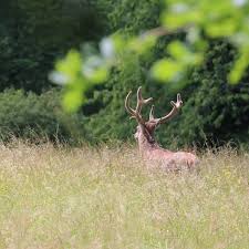 Même si, de prime abord, vous ne voyez rien à découvrir, en ouvrant les yeux, sachant regarder, ayant intérêt, vous trouverez de passionnantes visites et multitudes d'intérêts. Gedimat Home Facebook