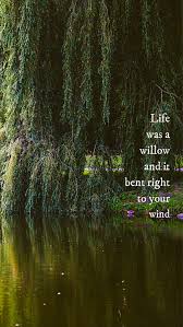 Maybe you would like to learn more about one of these? Your Lyrics Taylor Swift Willow Lyrics I M Like The Water When Your Ship Rolled In That Night Rough On The Surface But You Cut Through Like A Knife