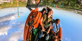 We offer you a chance to buy tickets for busch gardens tours at affordable prices and that too without any hassles. Busch Gardens Hotels Holiday Inn Suites Tampa N Busch Gardens Area