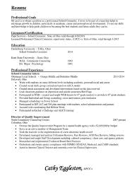 2014 school counselor resume for weebly