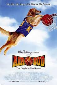 Buddy died after production of the previous film, golden receiver. Air Bud Wikipedia