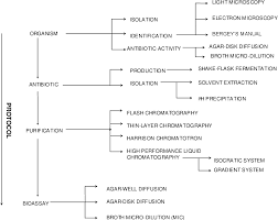 Figure 2 1 From Isolation And Characterization Of Antibiotic