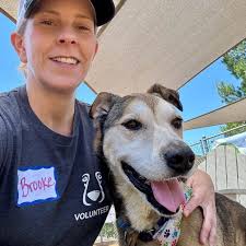 Our two sweetest baby girls, Canela and Princess Papaya, got a home  together with another sweet girl! They were adopted and will be loved in  memory of their late Chico and Dulce. <