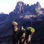 Mt Kenya height from www.goabroad.com