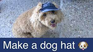 Make Dog Visor Hat Cap Here Is Where Can The Dog Cap Free Pattern In Facebook Cooking For Dogs Https Dog Shirt Tutorial Dog Clothes Diy Dog Clothes Patterns