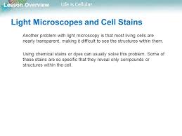 Run for your life atp carries energy around the cell to where it is needed by diffusion. Lesson Overview 7 1 Life Is Cellular Ppt Download