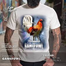 Ciri khas ayam aduan filipina asli. Pin On Kaos Ayam Jago