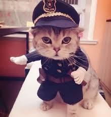 Cat Police Costume Are You Ready For Halloween Https Katloveskat Myshopify Com Collections Cat Lovers 1 Products C Cute Funny Animals Kittens Cutest Animals
