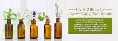 categories of essential oils their benefits families notes